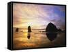 Sea Stacks at Cannon Beach-Darrell Gulin-Framed Stretched Canvas