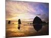 Sea Stacks at Cannon Beach-Darrell Gulin-Mounted Photographic Print