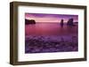 Sea Stacks at Dusk, Soberanes Point, Garrapata State Park, Big Sur, California, Usa-Russ Bishop-Framed Photographic Print