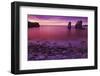 Sea Stacks at Dusk, Soberanes Point, Garrapata State Park, Big Sur, California, Usa-Russ Bishop-Framed Photographic Print