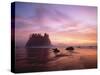 Sea Stacks at Sunset, 2nd Beach, Olympic National Park, Wa-Greg Probst-Stretched Canvas