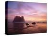 Sea Stacks at Sunset, 2nd Beach, Olympic National Park, Wa-Greg Probst-Stretched Canvas