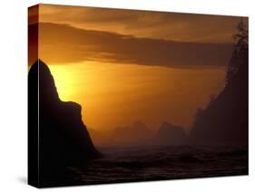 Sea Stacks at Sunset, Olympic National Park, Washington, USA-Jamie & Judy Wild-Stretched Canvas