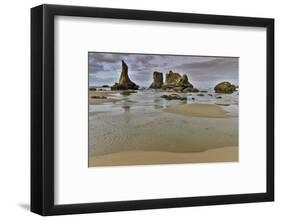 Sea stacks, Bandon, Oregon-Darrell Gulin-Framed Photographic Print