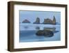 Sea stacks, Bandon, Oregon-Darrell Gulin-Framed Photographic Print