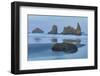 Sea stacks, Bandon, Oregon-Darrell Gulin-Framed Photographic Print