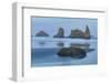 Sea stacks, Bandon, Oregon-Darrell Gulin-Framed Photographic Print