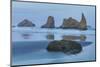 Sea stacks, Bandon, Oregon-Darrell Gulin-Mounted Photographic Print