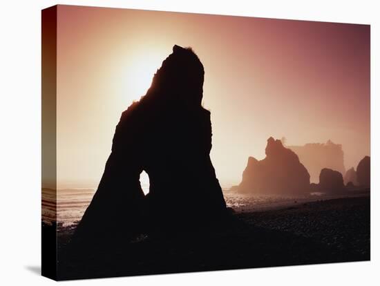 Sea Stacks in Fog Along Ruby Beach-James Randklev-Stretched Canvas