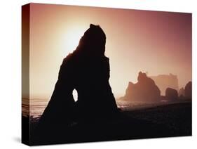 Sea Stacks in Fog Along Ruby Beach-James Randklev-Stretched Canvas