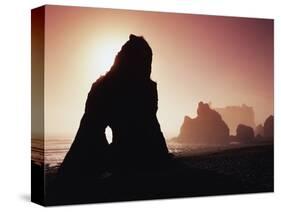 Sea Stacks in Fog Along Ruby Beach-James Randklev-Stretched Canvas