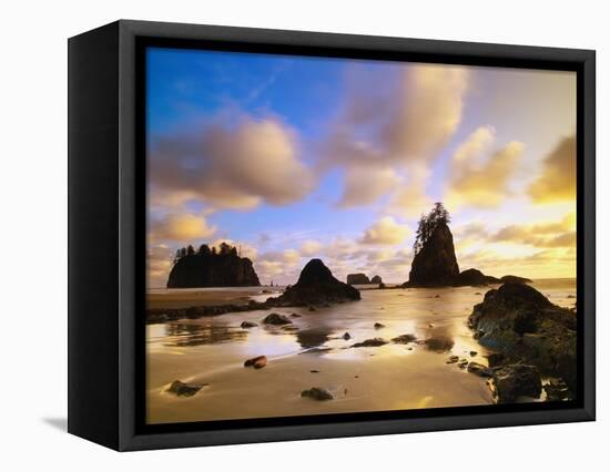 Sea Stacks Off Second Beach-Ron Watts-Framed Stretched Canvas