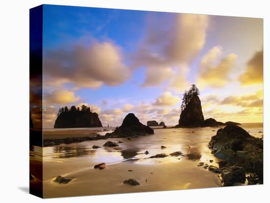 Sea Stacks Off Second Beach-Ron Watts-Stretched Canvas