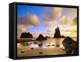 Sea Stacks Off Second Beach-Ron Watts-Framed Stretched Canvas