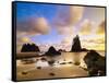 Sea Stacks Off Second Beach-Ron Watts-Framed Stretched Canvas