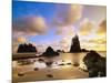 Sea Stacks Off Second Beach-Ron Watts-Mounted Photographic Print