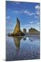 Sea Stacks on Bandon Beach in Bandon, Oregon, USA-Chuck Haney-Mounted Photographic Print