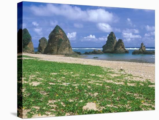 Sea Stacks, Yambaru Coastline, Okinawa, Japan-Rob Tilley-Stretched Canvas