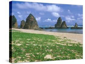 Sea Stacks, Yambaru Coastline, Okinawa, Japan-Rob Tilley-Stretched Canvas