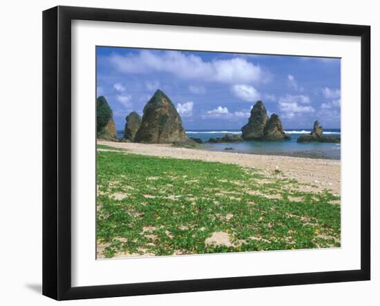 Sea Stacks, Yambaru Coastline, Okinawa, Japan-Rob Tilley-Framed Premium Photographic Print