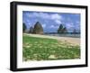 Sea Stacks, Yambaru Coastline, Okinawa, Japan-Rob Tilley-Framed Premium Photographic Print