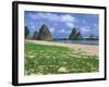 Sea Stacks, Yambaru Coastline, Okinawa, Japan-Rob Tilley-Framed Photographic Print