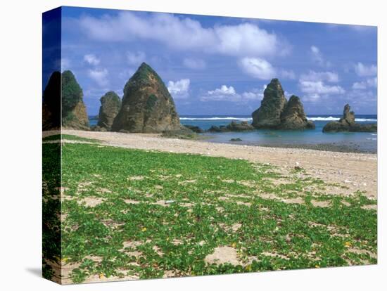 Sea Stacks, Yambaru Coastline, Okinawa, Japan-Rob Tilley-Stretched Canvas