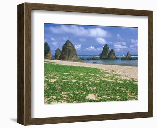 Sea Stacks, Yambaru Coastline, Okinawa, Japan-Rob Tilley-Framed Photographic Print