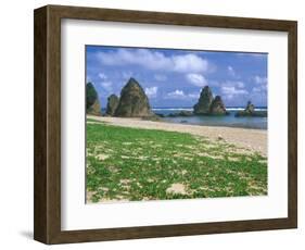Sea Stacks, Yambaru Coastline, Okinawa, Japan-Rob Tilley-Framed Photographic Print
