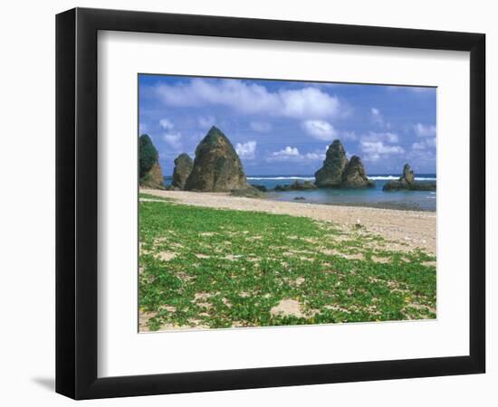 Sea Stacks, Yambaru Coastline, Okinawa, Japan-Rob Tilley-Framed Photographic Print