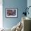 Sea Star and Clam Shells-Donald Paulson-Framed Giclee Print displayed on a wall