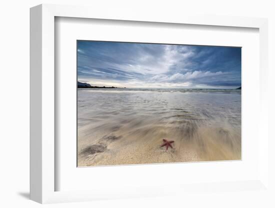 Sea Star in the Clear Water of the Fine Sandy Beach, Skagsanden, Ramberg-Roberto Moiola-Framed Photographic Print