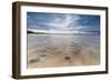 Sea Star in the Clear Water of the Fine Sandy Beach, Skagsanden, Ramberg-Roberto Moiola-Framed Photographic Print