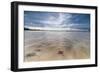 Sea Star in the Clear Water of the Fine Sandy Beach, Skagsanden, Ramberg-Roberto Moiola-Framed Photographic Print