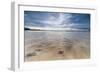 Sea Star in the Clear Water of the Fine Sandy Beach, Skagsanden, Ramberg-Roberto Moiola-Framed Photographic Print