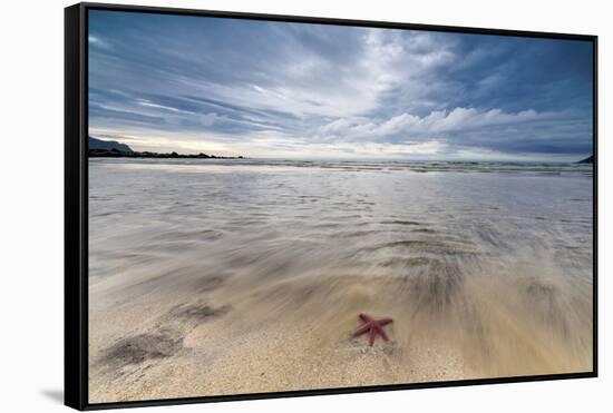 Sea Star in the Clear Water of the Fine Sandy Beach, Skagsanden, Ramberg-Roberto Moiola-Framed Stretched Canvas