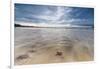 Sea Star in the Clear Water of the Fine Sandy Beach, Skagsanden, Ramberg-Roberto Moiola-Framed Photographic Print