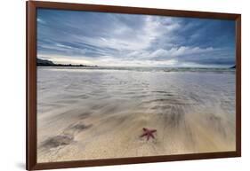 Sea Star in the Clear Water of the Fine Sandy Beach, Skagsanden, Ramberg-Roberto Moiola-Framed Photographic Print