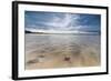 Sea Star in the Clear Water of the Fine Sandy Beach, Skagsanden, Ramberg-Roberto Moiola-Framed Photographic Print