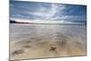 Sea Star in the Clear Water of the Fine Sandy Beach, Skagsanden, Ramberg-Roberto Moiola-Mounted Photographic Print