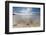 Sea Star in the Clear Water of the Fine Sandy Beach, Skagsanden, Ramberg-Roberto Moiola-Framed Premium Photographic Print