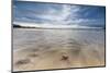 Sea Star in the Clear Water of the Fine Sandy Beach, Skagsanden, Ramberg-Roberto Moiola-Mounted Premium Photographic Print