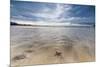 Sea Star in the Clear Water of the Fine Sandy Beach, Skagsanden, Ramberg-Roberto Moiola-Mounted Premium Photographic Print