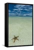 Sea Star in the Sand on the Rock Islands, Palau, Central Pacific, Pacific-Michael Runkel-Framed Stretched Canvas