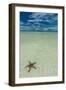 Sea Star in the Sand on the Rock Islands, Palau, Central Pacific, Pacific-Michael Runkel-Framed Photographic Print