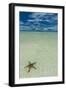 Sea Star in the Sand on the Rock Islands, Palau, Central Pacific, Pacific-Michael Runkel-Framed Photographic Print