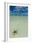 Sea Star in the Sand on the Rock Islands, Palau, Central Pacific, Pacific-Michael Runkel-Framed Photographic Print