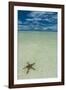 Sea Star in the Sand on the Rock Islands, Palau, Central Pacific, Pacific-Michael Runkel-Framed Photographic Print