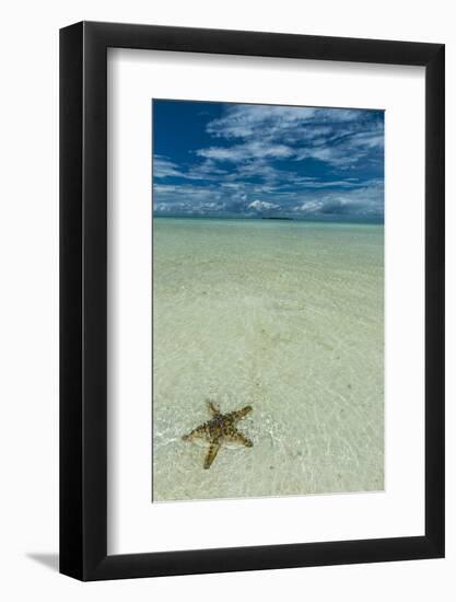 Sea Star in the Sand on the Rock Islands, Palau, Central Pacific, Pacific-Michael Runkel-Framed Photographic Print