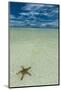 Sea Star in the Sand on the Rock Islands, Palau, Central Pacific, Pacific-Michael Runkel-Mounted Photographic Print